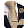 Ailisus Cravatta a righe e fazzoletto, fermacravatta gemelli spilla da bavero set matrimonio festa cravatta di seta tinta unita set formale 5 pezzi, Oro, Taglia unica