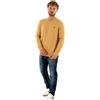 Timberland Maglione Cotton Yd