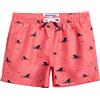 maamgic Costume da Bagno Pantaloncini da Bagno Estivi per Ragazzini Bambini Foderate in Rete Asciugatura Rapida Multi Colori
