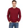 Marenza Girocollo Uomo Manica Lunga Misto Cashmere Seta Made in Italy (L, Bordeaux)