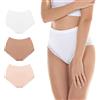 FOCENZA Slip Donna Vita Alta con Pizzo, Microfibra | 3 Pezzi | Vari Colori