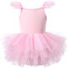 AIEOE Abito Tutu Danza Classica Bambina Ragazza Senza Maniche Cavallo con Bottone per Ragazze 2-4 Anni Rosa B01
