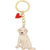 BT Bear Portachiavi BT Bear a forma di cane, portachiavi in metallo carino con targhetta ID per cane, portachiavi per chiave, pendente borsa, 10 cm