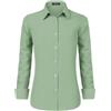 Stamain Camicia Donna Manica Lunga No Stiro Blusa Elegante Regular Fit Camicetta Classica per Ufficio Lavoro Cerimonia vestibilità Comoda Verde Salvia 4XL