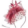 Richaa Fascinator Velo Cappello Fascia Clip, Fiore Piuma Mesh Velo Cerchietto Da Sposa