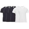 Saggio Payper 5 Tshirt Girocollo da S a 5XL 100% Cotone 155gr Traspirante Regular Fit Big Size 3BLU2BIA M
