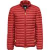 NAVY SAIL Piumino Uomo Leggero Giubbotto Primaverile Autunnale Slim Fit Antivento Mezza Stagione Con Zip Nylon - ESTIVO - LEGGERO - 60 GRAMMI - GIACCA ULTRALIGHT (IT, Testo, 3XL, Regular, Regular, Ferrari)