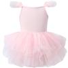 AIEOE Abito Tutu Danza Classica Bambina Ragazza Senza Maniche Cavallo con Bottone per Ragazze 2-4 Anni Rosa B02