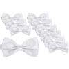 BomGuard papillon da uomo set da 10 - lucido - preannodato & regolabile - per abito e smoking