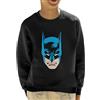 All+Every Batman Character Head Kid's Sweatshirt
