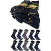Lucchetti Socks Milano Calze da Lavoro Uomo in Spugna di Cotone Rinforzate Nero o Assortito (39-42, 10 Paia Dark)