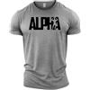 GYMTIER Alpha - Maglietta da uomo per bodybuilding e allenamento, Grigio sportivo, 4XL