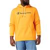 Champion American Classics Fall Fleece Big Logo Felpa con Cappuccio Uomo