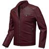 Generico Giacche da Moto in Pelle Finta per Uomo, Leggere e Fit Slim, Colletto Eretto e Sportive, Ideali per Uscite e Movimento(1A-Wine, L)