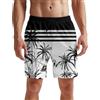Fanient Pantaloncini da Bagno da Uomo 3D Stampa Pantaloncini da Bagno grafici Pantaloncini da Spiaggia Quick Dry Pantaloncini da Bagno Trunks per Il Tempo Libero con Tasca