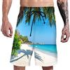 Generico Costumi da Bagno Uomo, Costume Uomo Mare Costumi Surf Boxer 100% Poliestere Asciugatura Rapida Pantaloncini da Spiaggia Piscina Boxer da Bagno Uomo Pantaloncini Uomo Mare Offerta