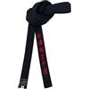 Generic Cintura nera Shotokan Karate Ricamo Arti marziali giapponesi Sport Junior Club Larghezza 4 cm Colore: Oro Giallo Rosso Blu Bianco (Parola rossa, 320cm)