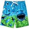 Fanient Costume da Bagno per Ragazzi, Pantaloncini da Bagno con Stampa Squalo Verde Acqua, Pantaloncini da Bagno Estivi 13-14 Anni