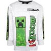 MINECRAFT - Felpa Girocollo Grigia - Regali Ragazzi - Pigiami Merce Gaming - Compleanno Maglietta Merce età 9/10