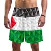 Abenily - Costume da bagno da uomo con bandiera della Palestina, con 2 tasche, per surf, spiaggia, traspirante, fodera in rete ad asciugatura rapida Multicolore XXL