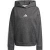 adidas Felpa da Donna con Cappuccio Ampia in Tessuto Felpato Glitter all SZN Holiday (IT, Testo, L, Regular, Regular, Grigio Glitter)