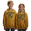 GWCC Licensed Unisex Kids Harry Potter Hufflepuff Hoodie Sizes 1 Year to 13 Years Yellow