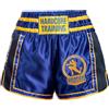 Hardcore Training Pantaloncini da combattimento da uomo per Muay Thai, kick boxing, MMA, combattimento, sparring, colore: blu, Blu, 5XL
