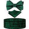 Alizeal Mens Classic Paisley Tessuto Paisley auto-legata regolabile con papillon, Cummerbund e Pocket Square Set, verde scuro