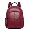 DEEVORCA Zaino a Tracolla Elegante Vintage Antifurto PU Pelle - Impermeabile Zainetto per Signora con Tasca per iPad