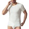 SalGiu Maglia Intima Uomo (3 Pezzi) 100% Cotone Mezza Manica Girocollo Antisudore Estiva