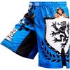 Hardcore Training Pantaloncini MMA Bambini BJJ No Gi Grappling Kickboxing | Fight shorts per jiu jitsu e grappling junior, tessuto elasticizzato, spacchi laterali, vita regolabile, cordoncino interno
