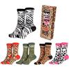 Fisura - Calzini divertenti "My Wild Week" unisex per uomo e donna, set 5 paia in cotone colorato con fantasie originali, calzini comodi e traspiranti per tutti i giorni