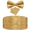 Ailisus Set papillon e fascia per cummerbund Paisley floreale smoking fascia per uomo con papillon prelegato tasca quadrata matrimonio gala, Paisley oro, Taglia unica