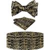 Alizeal Set classico da uomo con papillon regolabile, fascia da cummerbund e fazzoletto quadrato da taschino, 133-Nero+Oro, Taglia unica