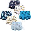 LeQeZe Boxer Bambino Mutande Cotone Dinosauro Intimo da 6 Ragazzo 5-6 Anni (Blu,Manufacturer Size 130)