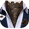 DiBanGu - Set da uomo con cravatta auto-annodata, jacquard, motivo paisley, Ascot, fazzoletto da taschino e gemelli, formale e casual, Taglia unica