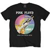 Rock Off officially licensed products Ufficiale Pink Floyd, wish you were here, Circle icone nero da uomo maglietta Black medium