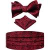 Alizeal Mens Solid/Paisley Bow Tie, Cummerbund e Hanky Set (marrone)