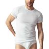 SalGiu Maglia (3 Pezzi) Intima Estiva Girocollo Mezza Manica 100% Cotone (XXL, Bianco)
