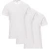 SADISRLS Payper Sunset T-Shirt Uomo 100% Cotone 155 g/m² Maglietta Manica Corta Girocollo Basic Confezione 3 o 5 Pezzi, Ideale per Lavoro e Uso Quotidiano