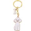 BT Bear Portachiavi a forma di cane, con targhetta identificativa per cani, in metallo, portachiavi per portachiavi o borsa, Barboncino bianco