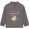 Harry Potter Felpa, Felpa Ragazzo con Cerniera, Felpe Ragazzo con Zip, Abbigliamento Bambino Hogwarts, Grigio 9-10 Anni