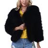 LJHH Giacca in Pelliccia Sintetica Donna Corto Cappotto Invernale Finta Pelo Giubbotto A Maniche Lunghe Soffice Giacche Donna Eleganti Pelliccia Sintetica Giubbino Cappottino Donna Corto gilet in pelliccia