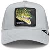 Goorin Bros. Goorin Gator Grigio Grigio/TU