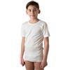 ZZZ ZZZ PETITE ABEILLE Made in Italy- 3 Maglie Intime per Bambino 100% Caldo Cotone Invernale (Maniche Corte/9 anni)