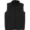 lvifloae Gilet riscaldante elettrico a 17 aree, temperatura costante intelligente, 4 interruttori, 3 marce, gilet riscaldato intelligente, per uomo e donna, nero XL (4XL)