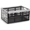 PLASTIC FORTE Scatola pieghevole con maniglie, Scatola da campeggio in plastica, Scatola organizer in plastica, 48 cm di lunghezza x 35 cm di larghezza x 23 cm di altezza, Portata massima di 18 Kg