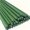 NONE Confezione da 12/24/36/48 paletti in acciaio laminato per piante con Ø 0,80/Ø1.10/Ø1.60 cm, Ideale per la cura del giardino. Bastoncini per la cura di piante e alberi (colore verde)