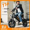 NONE Bicicletta Elettrica URLIFE T16 con Motore 250W, Batteria 48V15.6AH, Vano Portaoggetti, Pneumatici Fat da 16.3.0 Pollici per Tutti i Terreni