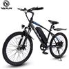 Varun Bicicletta Elettrica da Montagna per Adulti Varun, Batteria 36V 7.8Ah, Pneumatici da 24 Pollici, Autonomia 40km, E-bike, Bicicletta Elettrica da Strada
